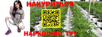 МДПВ Можга